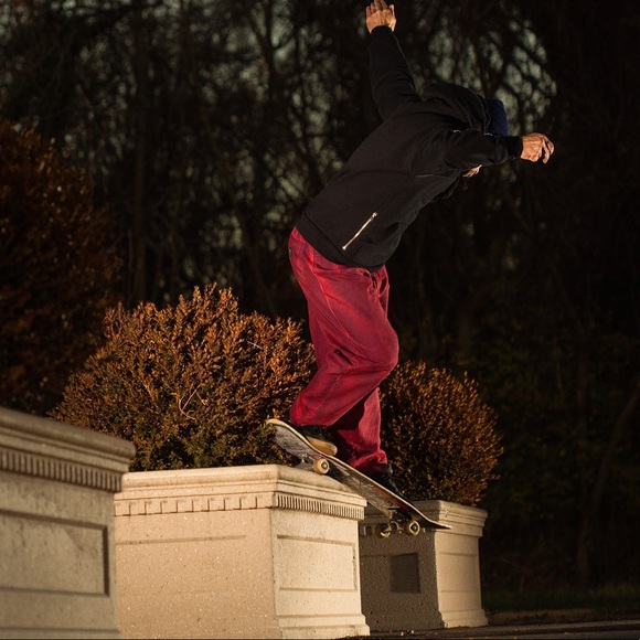 Macro OAK - Picture 1 of 1